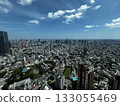 Cityscape from Mori Building 133055469