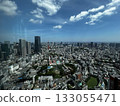 Cityscape from Mori Building 133055471