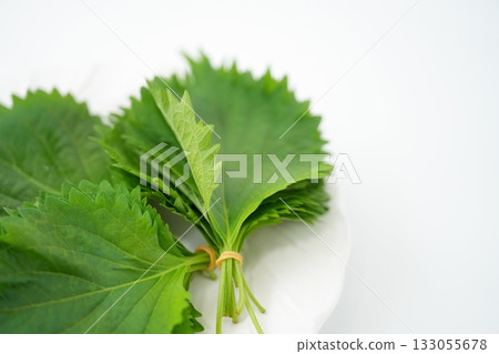 A generous bunch of shiso leaves (from Aichi Prefecture) - a soft accent of fragrance and color A generous bunch of shiso leaves (from Aichi Prefecture) - a soft accent of fragrance and color 133055678