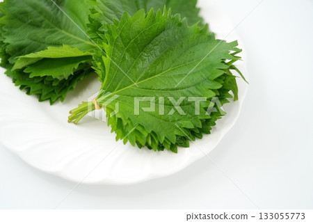 A generous bunch of shiso leaves (from Aichi Prefecture) - a soft accent of fragrance and color A generous bunch of shiso leaves (from Aichi Prefecture) - a soft accent of fragrance and color 133055773