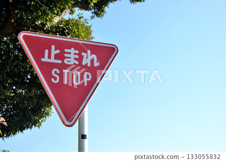路標停止藍天 路標停止藍天 133055832