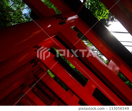 Kyoto, Japan, Fushimi Inari Shrine 133056549