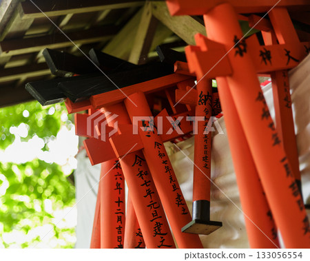 Kyoto, Japan, Fushimi Inari Shrine 133056554