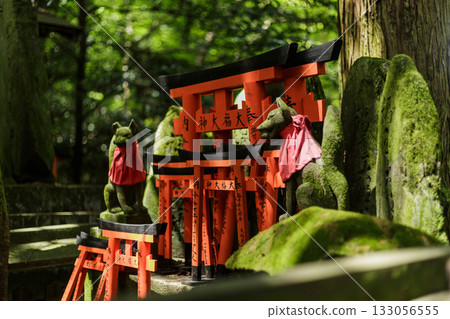 Kyoto, Japan, Fushimi Inari Shrine 133056555