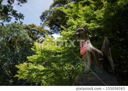 日本京都伏見稻荷大社 133056565
