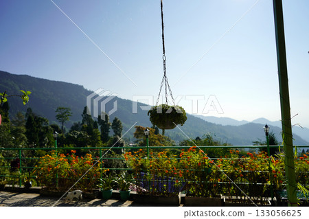 Hanging Basket Planter with Mountain Valley Background Hanging Basket Planter with Mountain Valley Background 133056625