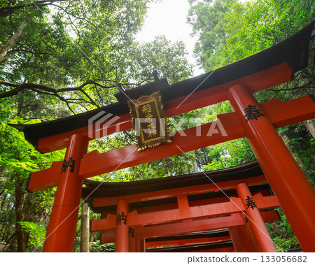 Kyoto, Japan, Fushimi Inari Shrine Kyoto, Japan, Fushimi Inari Shrine 133056682