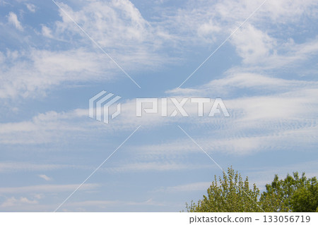 Namiki和藍天 133056719