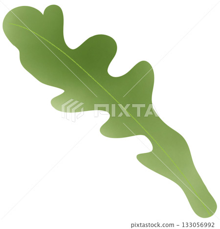 Green salad leaves 133056992