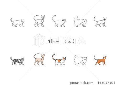 各種貓的插圖 各種貓的插圖 133057401