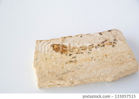 塵埃化石 塵埃化石 133057515