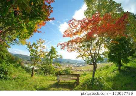 在秋天的落葉下的長凳 133057759