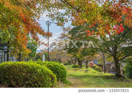 京都市琵琶湖運河畔公園 133057815