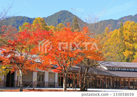 阿爾卑斯山安曇野國立公園大町和松川地區的秋季 阿爾卑斯山安曇野國立公園大町和松川地區的秋季 133058039