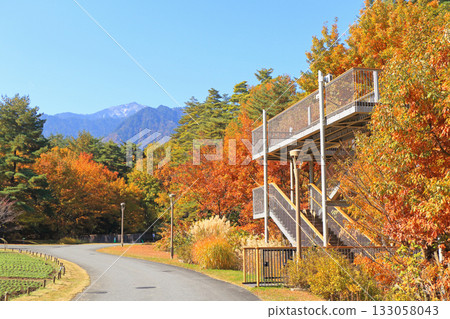 阿爾卑斯山安曇野國立公園大町和松川地區的秋季 133058043
