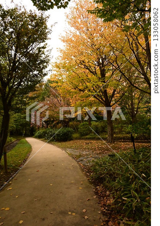 A road with autumn leaves A road with autumn leaves 133058062