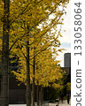 銀杏樹用黃色葉子排行 133058064