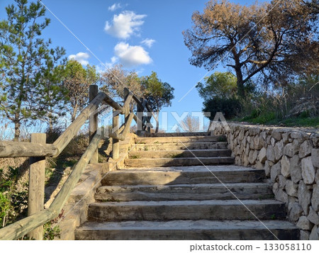 rustic staircase amidst sunkissed pines, scenic ascent through dense pine forest under golden light 133058110
