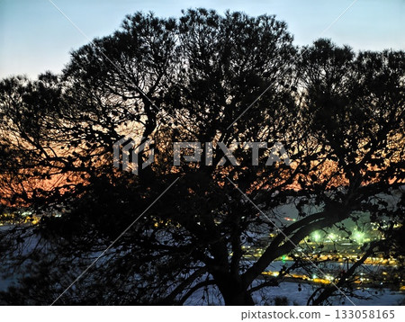serene coastal view with glowing reflections, tranquil seaside silhouette with vibrant orange 133058165