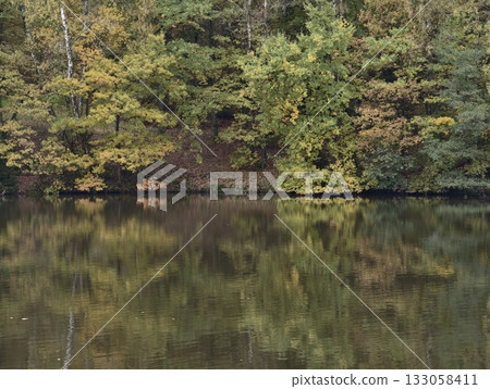 bold red foliage, dynamic display of blazing red maple leaves creating lively and colorful natural bold red foliage, dynamic display of blazing red maple leaves creating lively and colorful natural 133058411