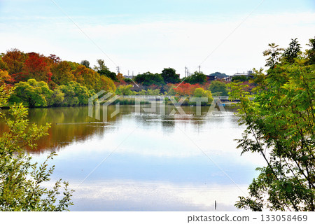 愛知縣長久手市入池公園的秋葉 愛知縣長久手市入池公園的秋葉 133058469
