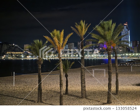 tropical cityscape imagery, beachfront silhouettes combined with neon city illumination for branding tropical cityscape imagery, beachfront silhouettes combined with neon city illumination for branding 133058524