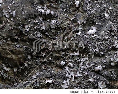 weathered stone displaying salt deposits, maritime sample showing erosion patterns and surface weathered stone displaying salt deposits, maritime sample showing erosion patterns and surface 133058554