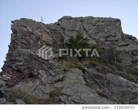 rocky ledges with pine growths, rugged cliff face featuring vegetation and dramatic shadows rocky ledges with pine growths, rugged cliff face featuring vegetation and dramatic shadows 133058555