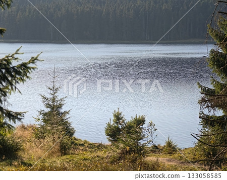 calm waters reflected by lush foliage, gentle breeze over serene natural lakeside landscape calm waters reflected by lush foliage, gentle breeze over serene natural lakeside landscape 133058585