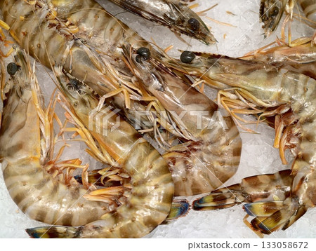 premium seafood selection, icecold tiger prawns featuring glossy shells ideal for various gourmet premium seafood selection, icecold tiger prawns featuring glossy shells ideal for various gourmet 133058672