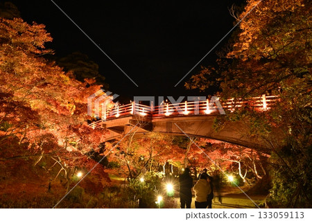 Yahiko Park Momiji Valley 2025 Yahiko Park Momiji Valley 2025 133059113