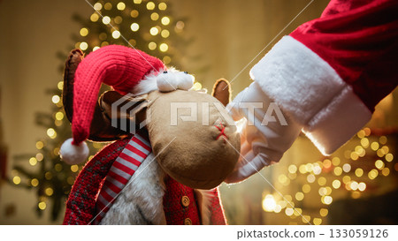 Santa Claus caresses Christmas reindeer Toy Santa Claus caresses Christmas reindeer Toy 133059126
