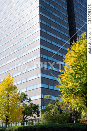 High-rise buildings in the government district and autumn-colored street trees High-rise buildings in the government district and autumn-colored street trees 133059198
