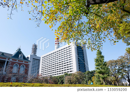政府區的高樓大廈和秋天變紅的樹木 政府區的高樓大廈和秋天變紅的樹木 133059200