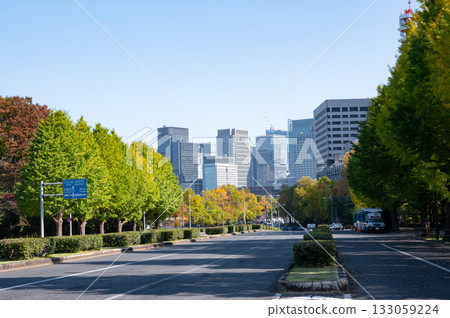 街道兩旁的樹木變紅，丸之內摩天大樓林立。 133059224