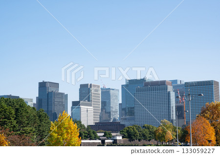 皇宮櫻田門景色、路邊樹木的秋葉以及丸之內的高樓大廈 133059227