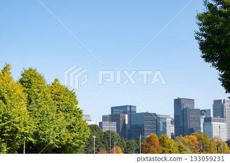 街道兩旁的樹木變紅，丸之內摩天大樓林立。 133059231