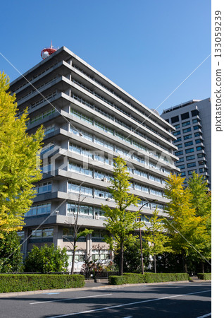 A view of high-rise buildings in the government district and roadside trees turning red in autumn 133059239
