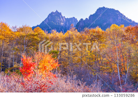 【山梨縣】從水垣山自然公園眺望水垣山,晨光絢麗奪目。 【山梨縣】從水垣山自然公園眺望水垣山,晨光絢麗奪目。 133059286