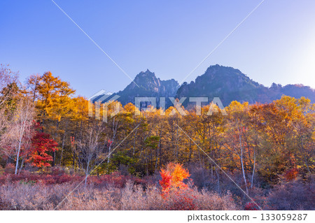 【山梨縣】從水垣山自然公園眺望水垣山，晨光絢麗奪目。 133059287