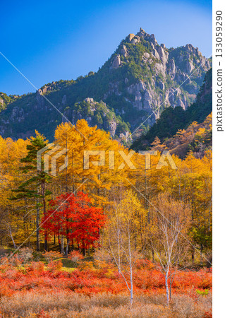 【山梨縣】從水垣山自然公園眺望水垣山,晨光絢麗奪目。 【山梨縣】從水垣山自然公園眺望水垣山,晨光絢麗奪目。 133059290