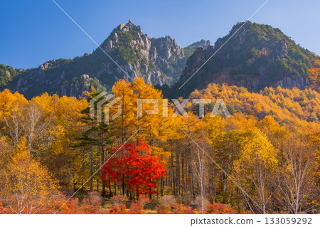 【山梨縣】從水垣山自然公園眺望水垣山，晨光絢麗奪目。 133059292