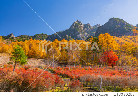 【山梨縣】從水垣山自然公園眺望水垣山，晨光絢麗奪目。 133059293