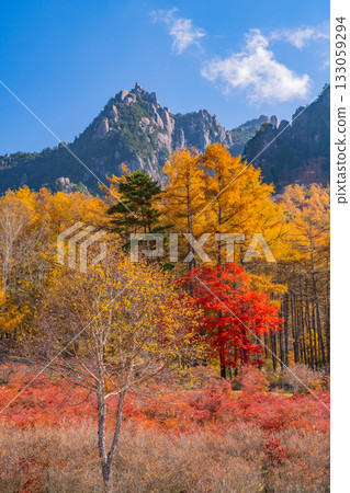 [Yamanashi Prefecture] Mt. Mizugaki from Mt. Mizugaki Natural Park, where the morning light is dazzling 133059294