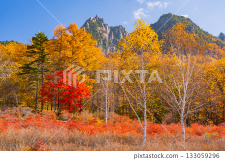[Yamanashi Prefecture] Mt. Mizugaki from Mt. Mizugaki Natural Park, where the morning light is dazzling 133059296