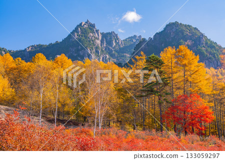 [Yamanashi Prefecture] Mt. Mizugaki from Mt. Mizugaki Natural Park, where the morning light is dazzling 133059297