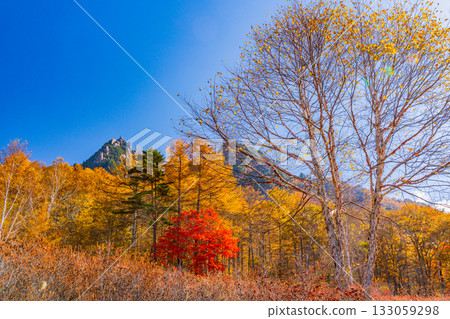 [Yamanashi Prefecture] Mt. Mizugaki from Mt. Mizugaki Natural Park, where the morning light is dazzling 133059298