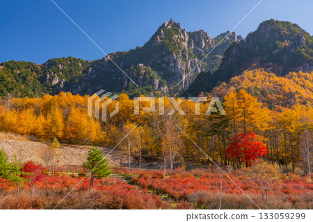 [Yamanashi Prefecture] Mt. Mizugaki from Mt. Mizugaki Natural Park, where the morning light is dazzling 133059299