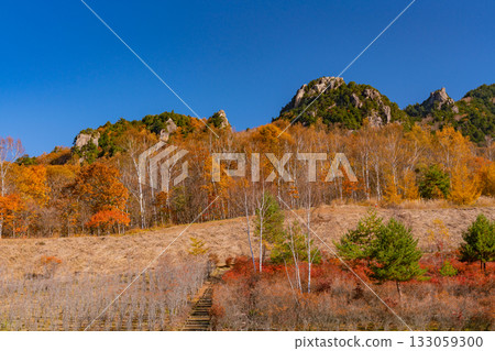 [Yamanashi Prefecture] Mt. Mizugaki from Mt. Mizugaki Natural Park, where the morning light is dazzling 133059300