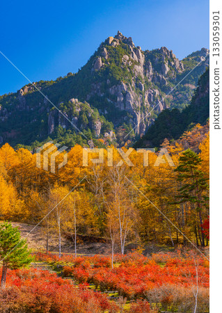 [Yamanashi Prefecture] Mt. Mizugaki from Mt. Mizugaki Natural Park, where the morning light is dazzling 133059301
